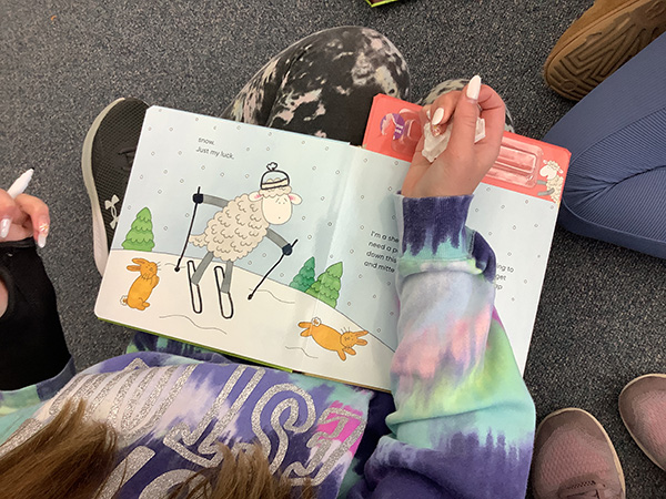 Draw & Erase Books This Sheep Needs Your Help